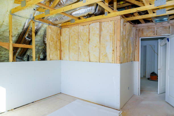 Best Eco-Friendly Insulation in Quinlan, TX