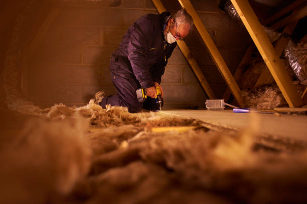 Best Geographic-Specific Insulation Services in Quinlan, TX
